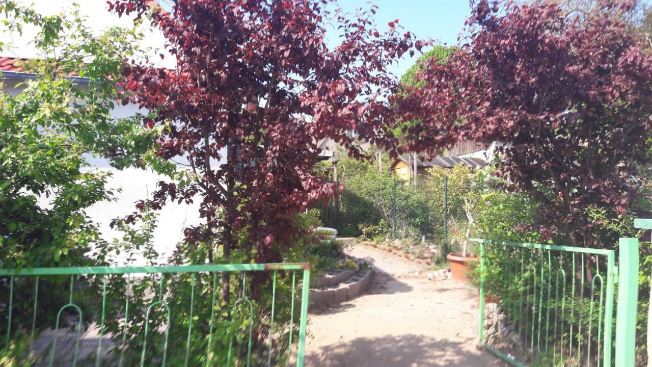 Garz  Apartments Zum Brauergang מראה חיצוני תמונה